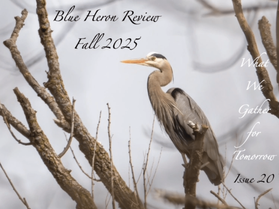 Blue Heron Review, Fall&nbsp;2025